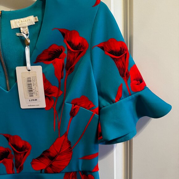 Ted Baker London Fantasia V Neck Skater Dress - Picture 4 of 6